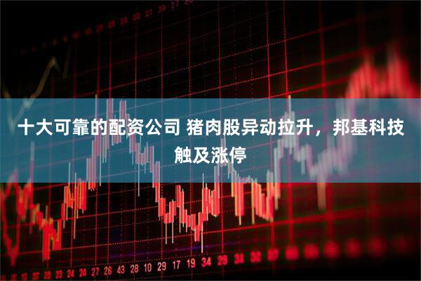 十大可靠的配资公司 猪肉股异动拉升，邦基科技触及涨停