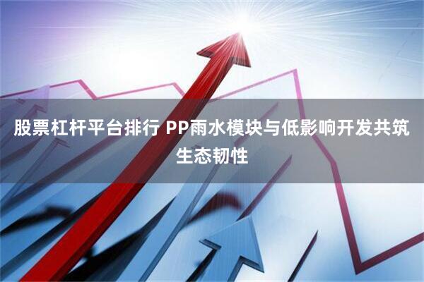 股票杠杆平台排行 PP雨水模块与低影响开发共筑生态韧性